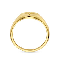 vDam 14k Geelgouden Ring met Zirkonia 4031556