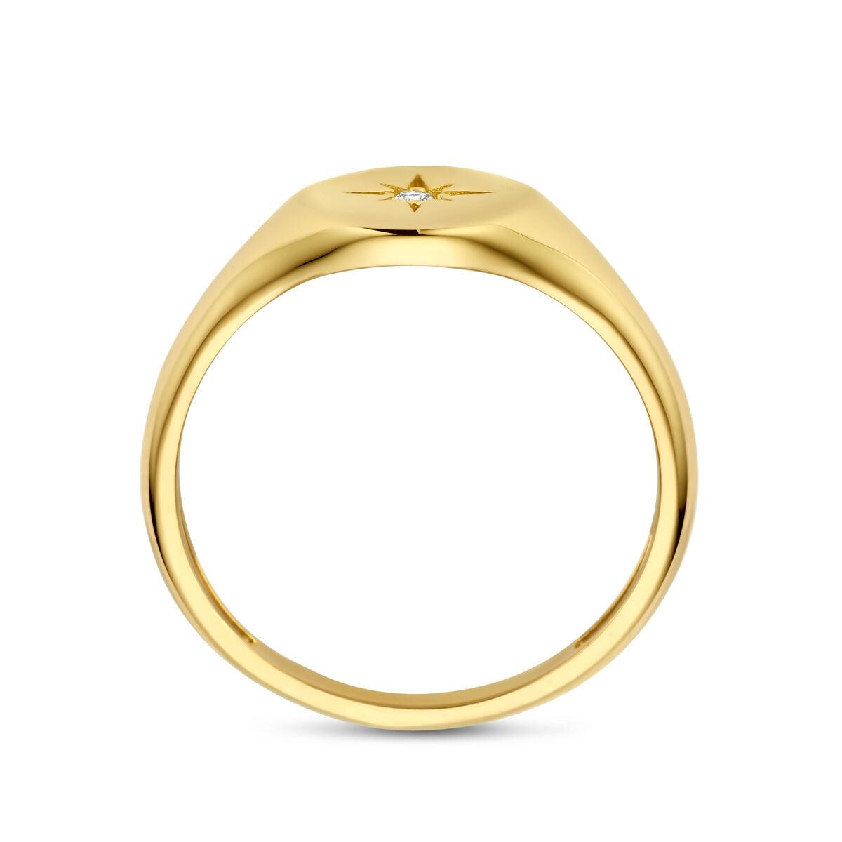 vDam 14k Geelgouden Ring met Zirkonia 4031556