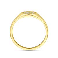 vDam 14k Geelgouden Zirkonia Ring 4031073
