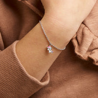 vDam Armband Eenhoorn 13cm + 3 Cm Zilver Gerhodineerd 13cm3213cm6  13cm