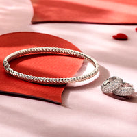 vDam Bangle Scharnier 4,0 X 60 Mm Zilver Gerhodineerd 1329196