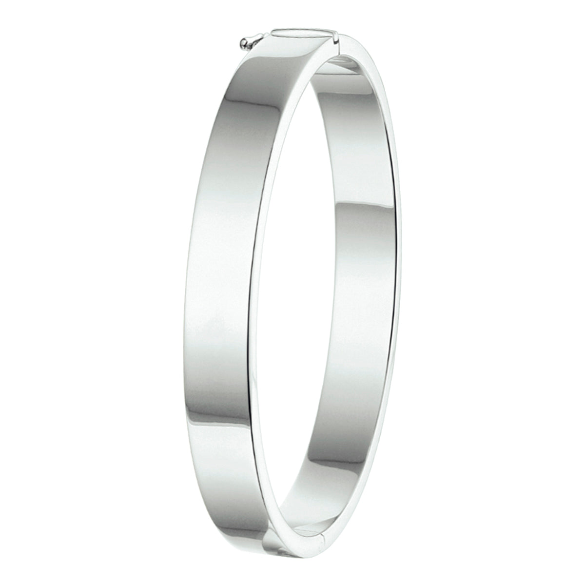 vDam Bangle Scharnier 8 Mm Vlakke Buis Zilver Gerhodineerd 1326305