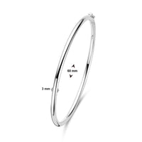 vDam Bangle Scharnier Ronde Buis 3 X 60 Mm Zilver Gerhodineerd 1328174
