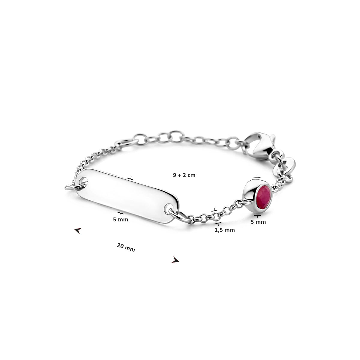 vDam Graveerarmband Plaat 5,0 Mm Met Geboortesteen 9cm + 2 Cm Zilver Gerhodineerd 1338649cm  9cm