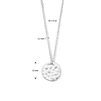 vDam Ketting Gehamerd 42cm + 4 Cm Zilver Gerhodineerd 1336590  42cm