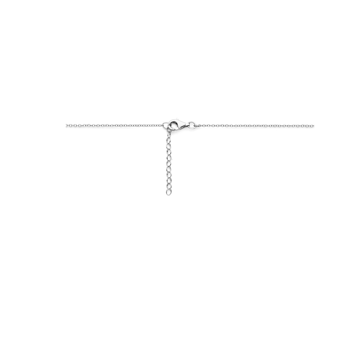 vDam Ketting Hondenpoot 36cm + 3 Cm Zilver Gerhodineerd 1338420  36cm