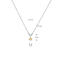 vDam Ketting Met Geboortesteen 41cm + 4 Cm Zilver Gerhodineerd 1337494  41cm