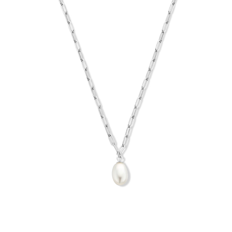 vDam Ketting Paperclip En Parel 41 + 4 Cm Zilver Gerhodineerd 1336010