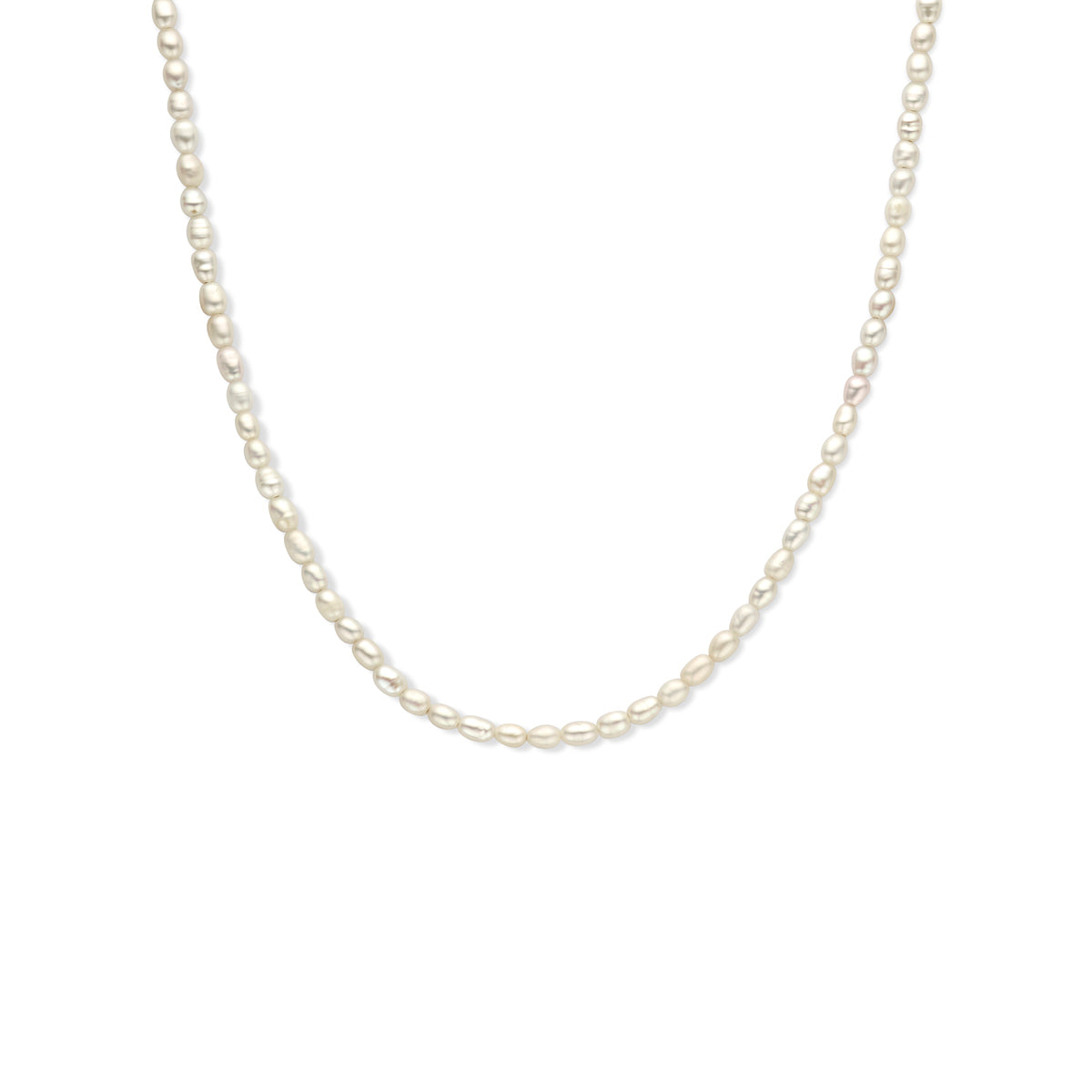 vDam Ketting Parel 3,8 Mm 40 + 5 Cm Zilver Gerhodineerd 1338218