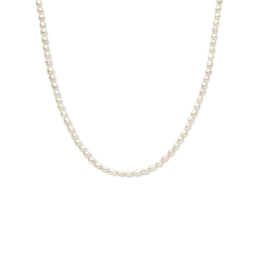 vDam Ketting Parel 3,8 Mm 40 + 5 Cm Zilver Gerhodineerd 1338218