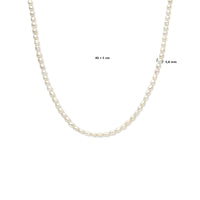 vDam Ketting Parel 3,8 Mm 40cm + 5 Cm Zilver Gerhodineerd 1338218  40cm