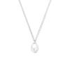 vDam Ketting Parel 41 + 4 Cm Zilver Gerhodineerd 1335946