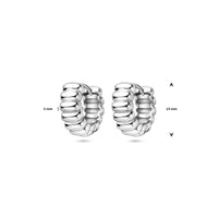 vDam Klapoorringen 13 Mm Zilver Gerhodineerd 1340497