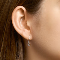 vDam Oorhangers Ster Zirkonia Brisur Haak Zilver Gerhodineerd 1329918