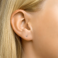 vDam Oorknoppen Bolletjes Zilver Gerhodineerd 1331961