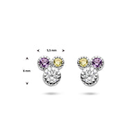 vDam Oorknoppen Meerdere Kleuren Zirkonia Zilver Gerhodineerd 1336540