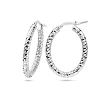 vDam Oorringen 3,0 Mm Ronde Buis Gediamanteerd Zilver Gerhodineerd 1336877