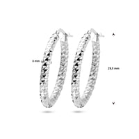 vDam Oorringen 3,0 Mm Ronde Buis Gediamanteerd Zilver Gerhodineerd 1336877