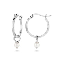 vDam Oorringen Parel Zilver Gerhodineerd 1335722