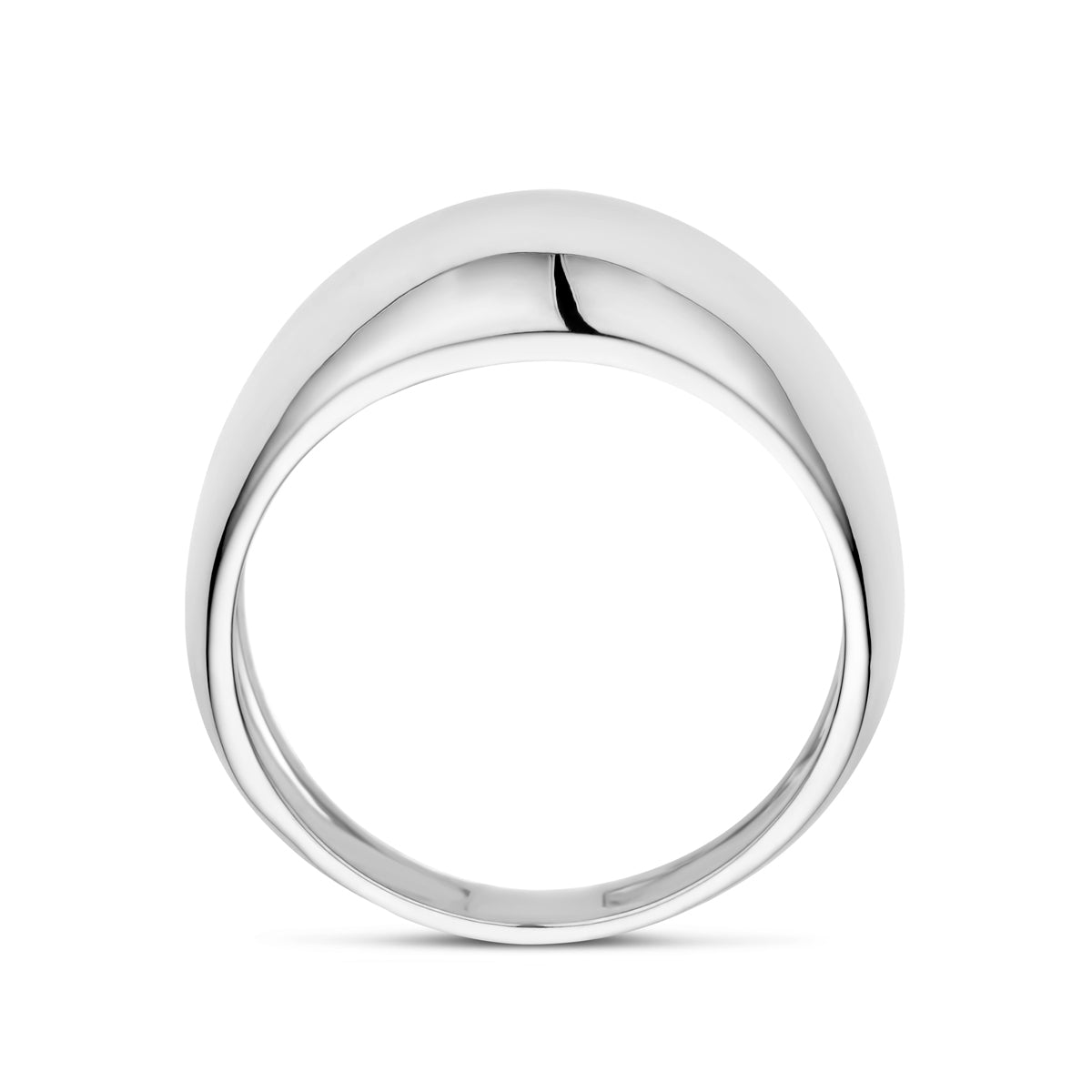 vDam Ring Balloon Zilver Gerhodineerd 1339394 Maat 16½