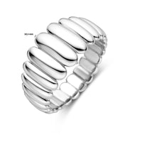 vDam Ring Balloon Zilver Gerhodineerd 1339589 Maat 19