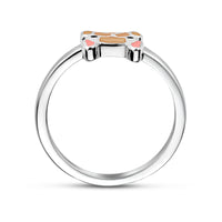 vDam Ring Hond Zilver Gerhodineerd Maat 1335407 Maat 13