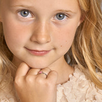 vDam Ring Kroon Zilver Gerhodineerd 1326783 Maat 13½