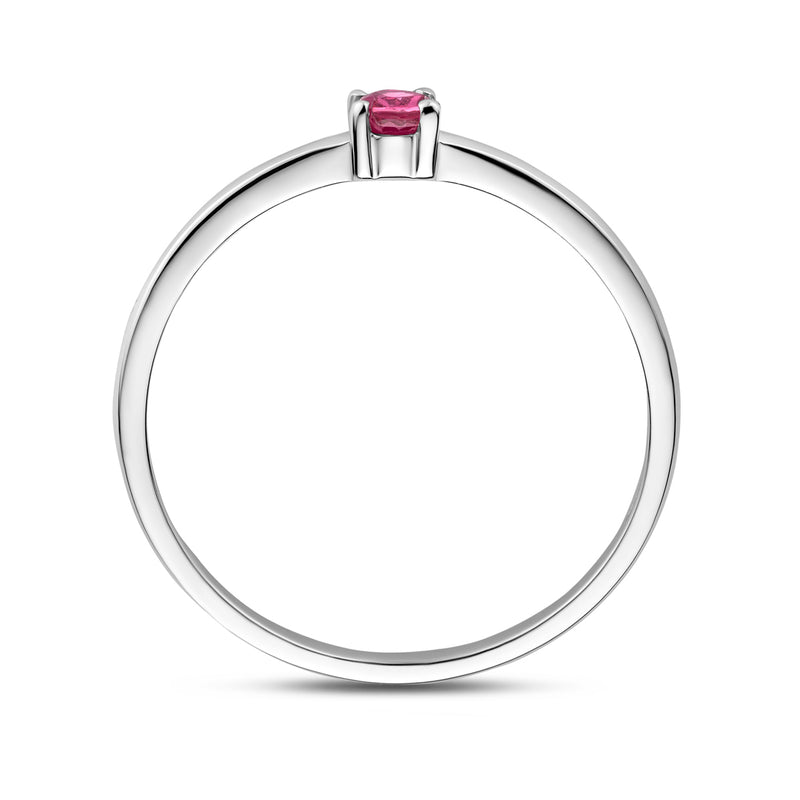 vDam Ring Met Geboortesteen Roze Toermalijn Oktober Zilver Gerhodineerd 1337117 Maat 17½