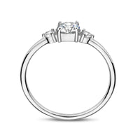 vDam Ring Trilogie Zirkonia Zilver Gerhodineerd 1335395 Maat 16½