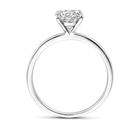 vDam Ring Zirkonia Zilver Gerhodineerd 1339180 Maat 16