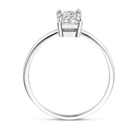 vDam Ring Zirkonia Zilver Gerhodineerd 1339367 Maat 18½