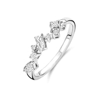 vDam Ring Zirkonia Zilver Gerhodineerd 1340844