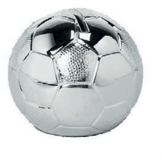 vDam Spaarpot Voetbal WG - 08432